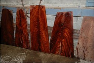 Amazing Crotch Mahogany 3 cm_4_300