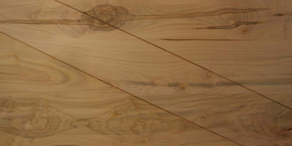 Maple - Ambrosia Lumber @ Rare Woods USA