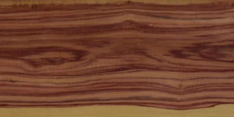 Tulipwood 12 Tulipwood Lumber @ Rare Woods USA