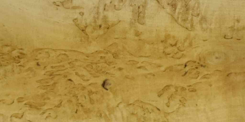 Birch - Masur Lumber @ Rare Woods USA