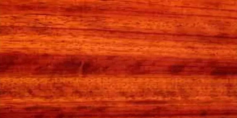 Padauk - African 4 Padauk - African Lumber @ Rare Woods USA
