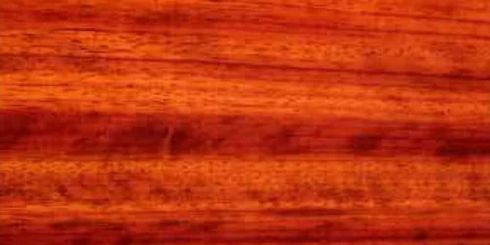 Padauk - African Lumber @ Rare Woods USA