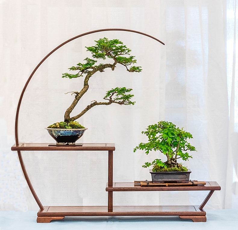 80425544 3077462985621990 3591486678373498880 n 1 1