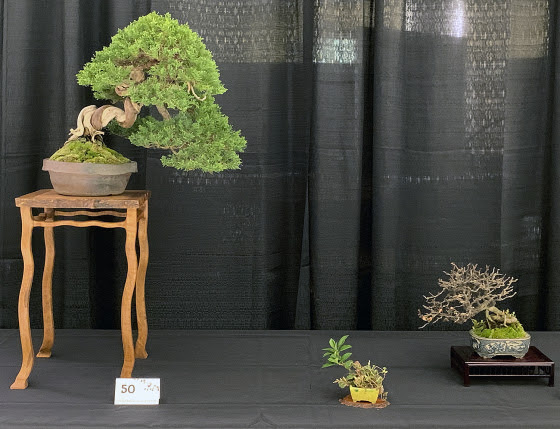 Edition #2 - Dave Knittle 2 Dogwood table 1 1