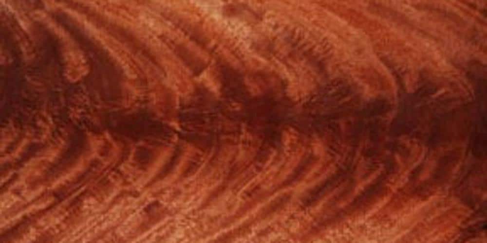 Mahogany - Crotch Lumber @ Rare Woods USA
