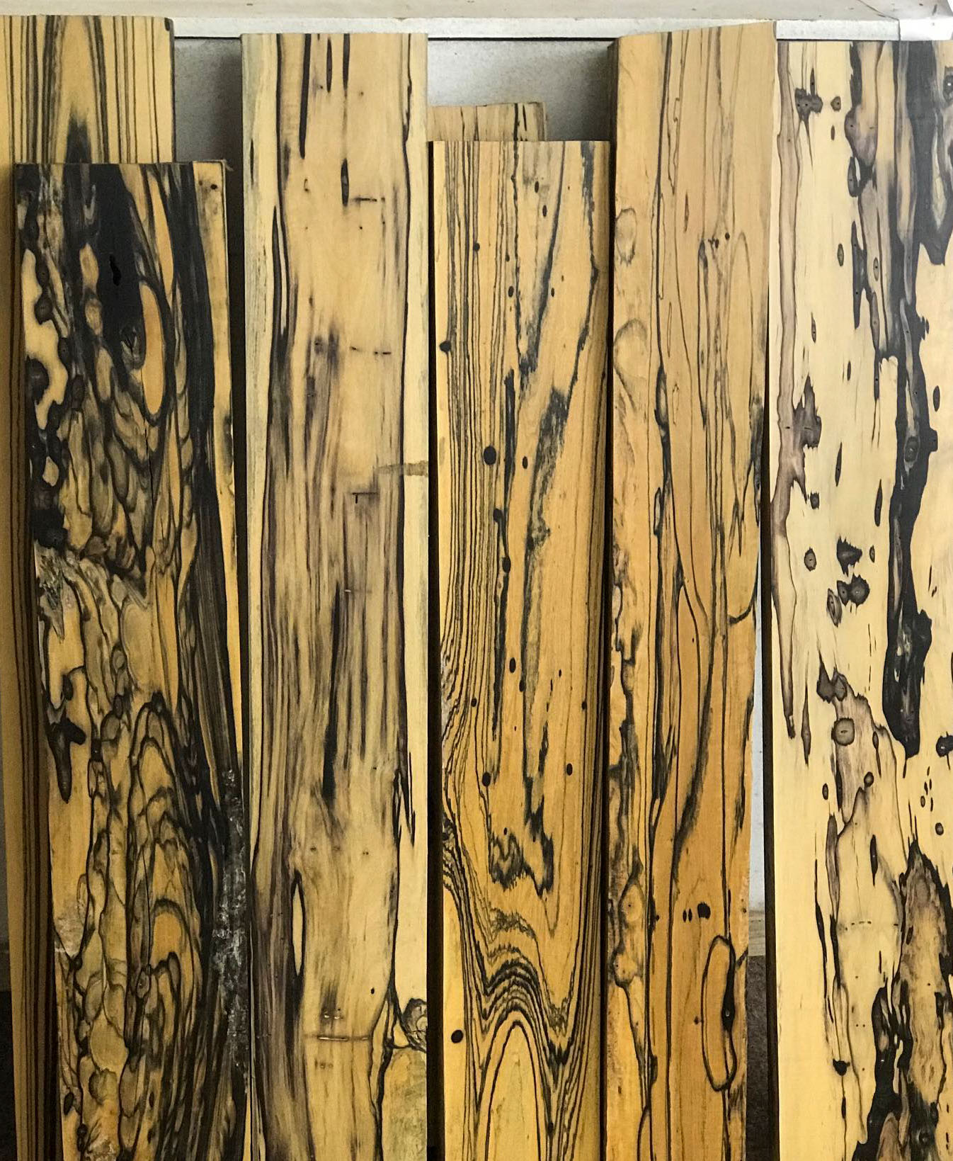 Black And White Ebony Turning Wood Blank - Exotic Wood Zone