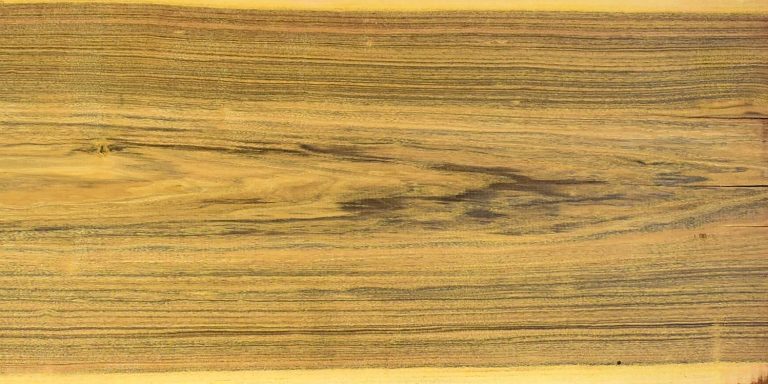 rosewood patagonian