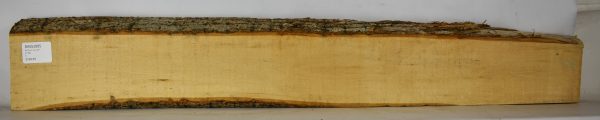 Basswood