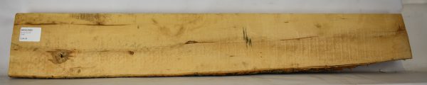 Basswood - Image 2