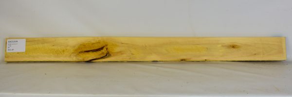 Basswood