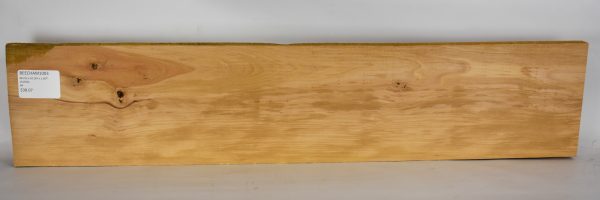 Beech - American - Image 2