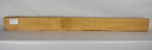 Beech - American