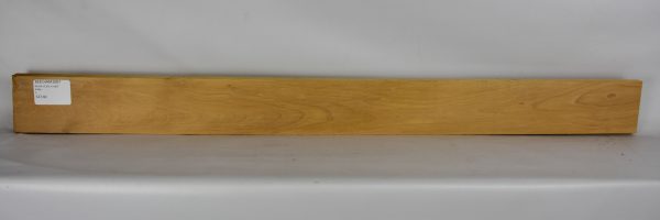 Beech - American - Image 2