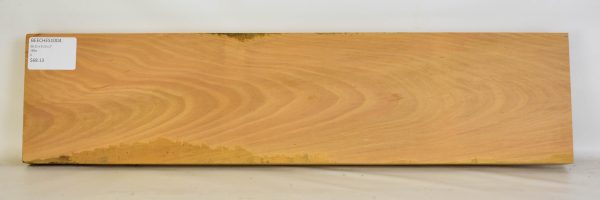Beech - European Steamed
