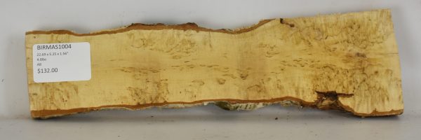 Birch - Masur - Image 2