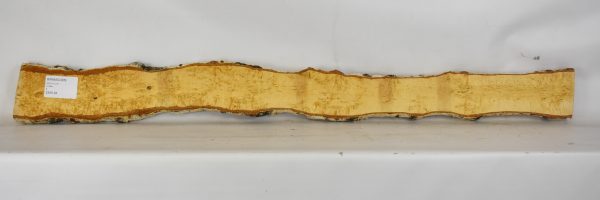 Birch - Masur
