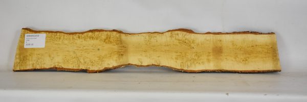 Birch - Masur - Image 2