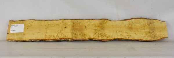 Birch - Masur