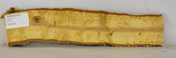 Birch - Masur