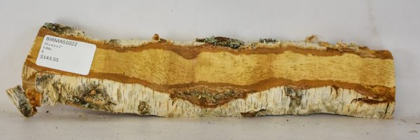 Birch - Masur - Image 2
