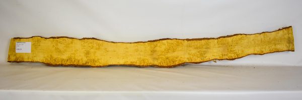 Birch - Masur - Image 2