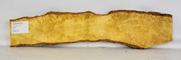 Birch - Masur - Image 2