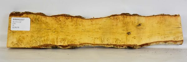 Birch - Masur - Image 2