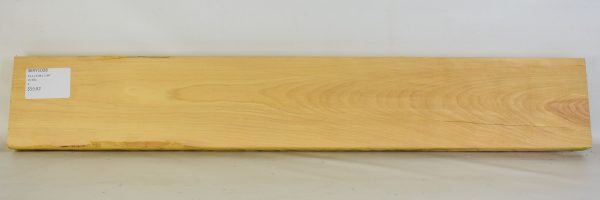 Birch - Yellow