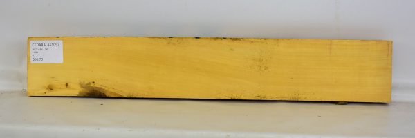 Cedar - Alaskan - Image 2