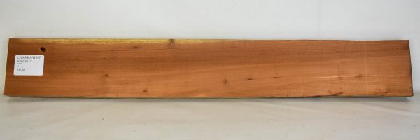 Cedar - Spanish
