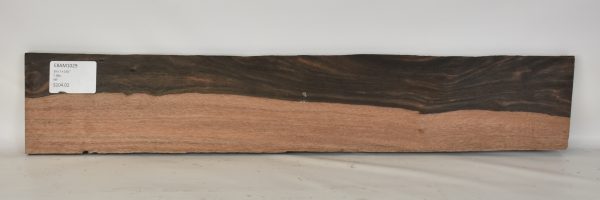 Ebony - Amara - Image 2