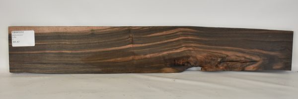 Ebony - Amara - Image 2