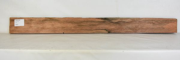 Ebony - Amara