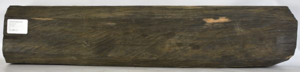 Ebony - Gabon (Billet)