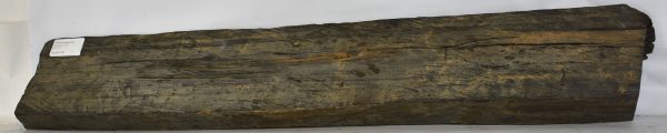 Ebony - Gabon (Billet) - Image 2