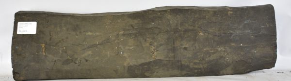 Ebony - Gabon (Billet)