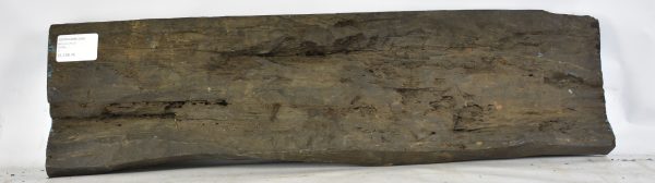 Ebony - Gabon (Billet) - Image 2