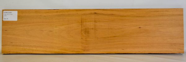 Goncalo Alves - Image 2