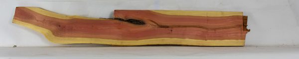 Pink Ivory - Image 2