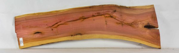 Pink Ivory