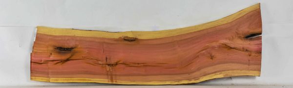 Pink Ivory - Image 2