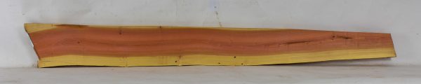 Pink Ivory - Image 2
