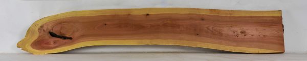 Pink Ivory - Image 2