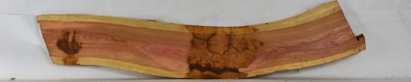 Pink Ivory - Image 2