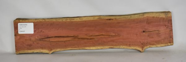 Pink Ivory - Image 2