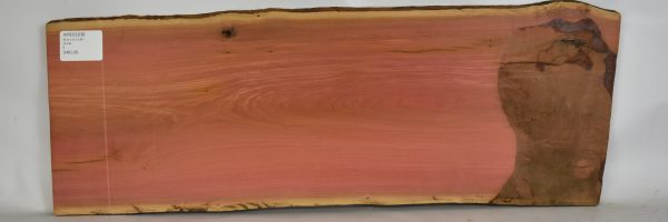 Pink Ivory