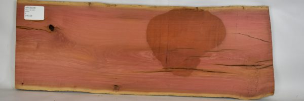 Pink Ivory - Image 2