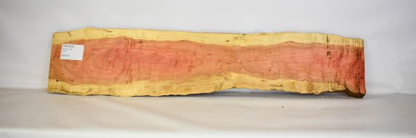 Pink Ivory - Image 2