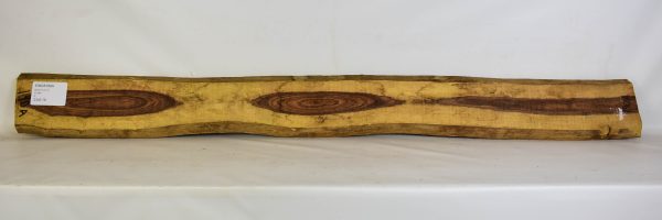 Kingwood Boule - Image 2