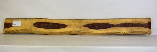 Kingwood Boule - Image 9